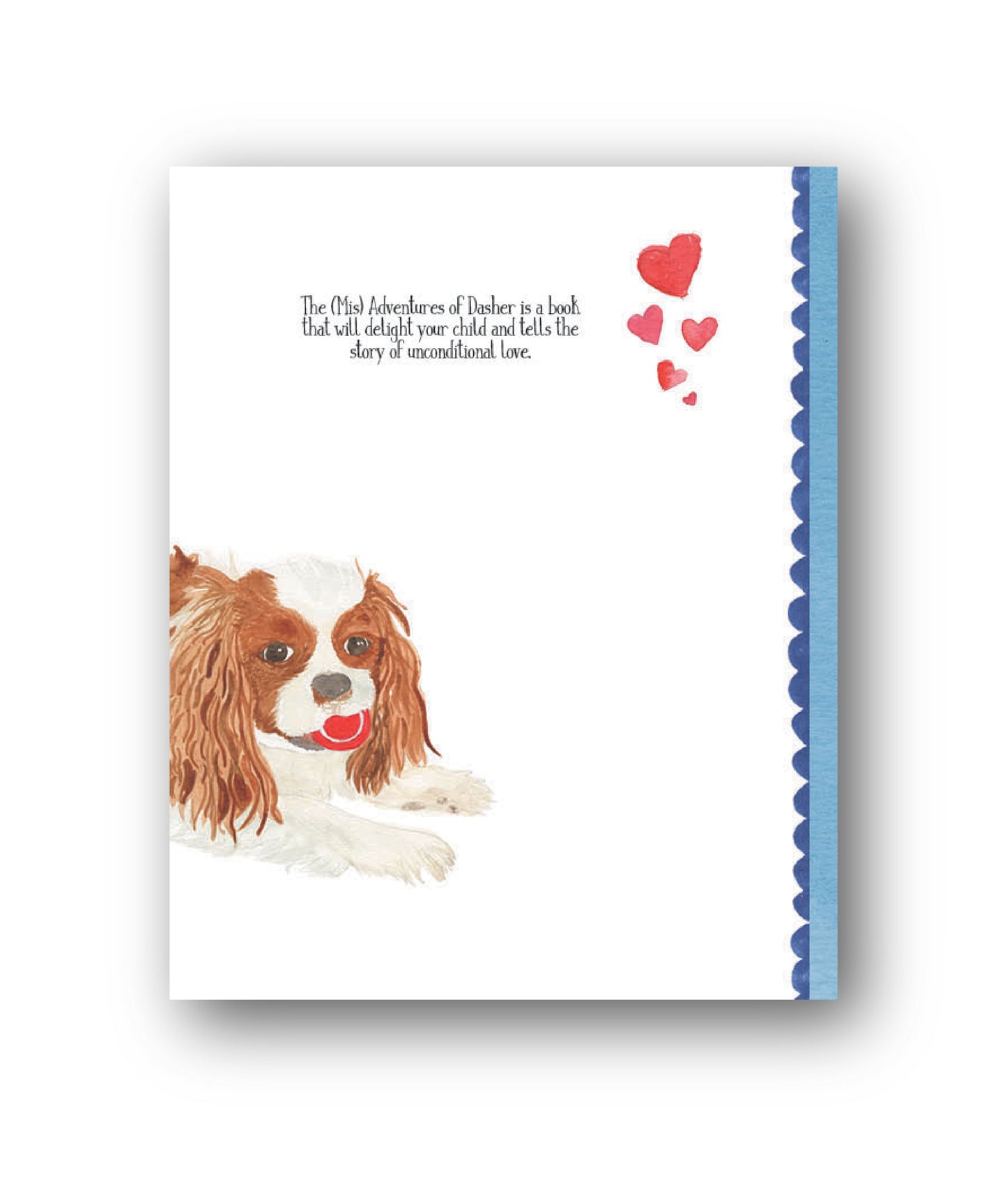 The (Mis) Adventures of Dasher