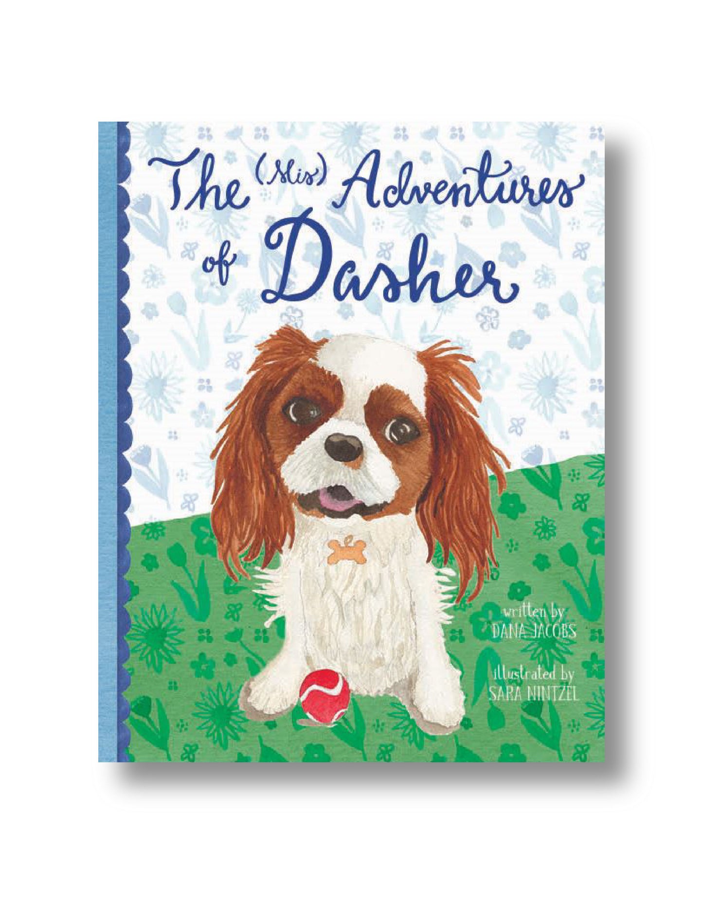 The (Mis) Adventures of Dasher